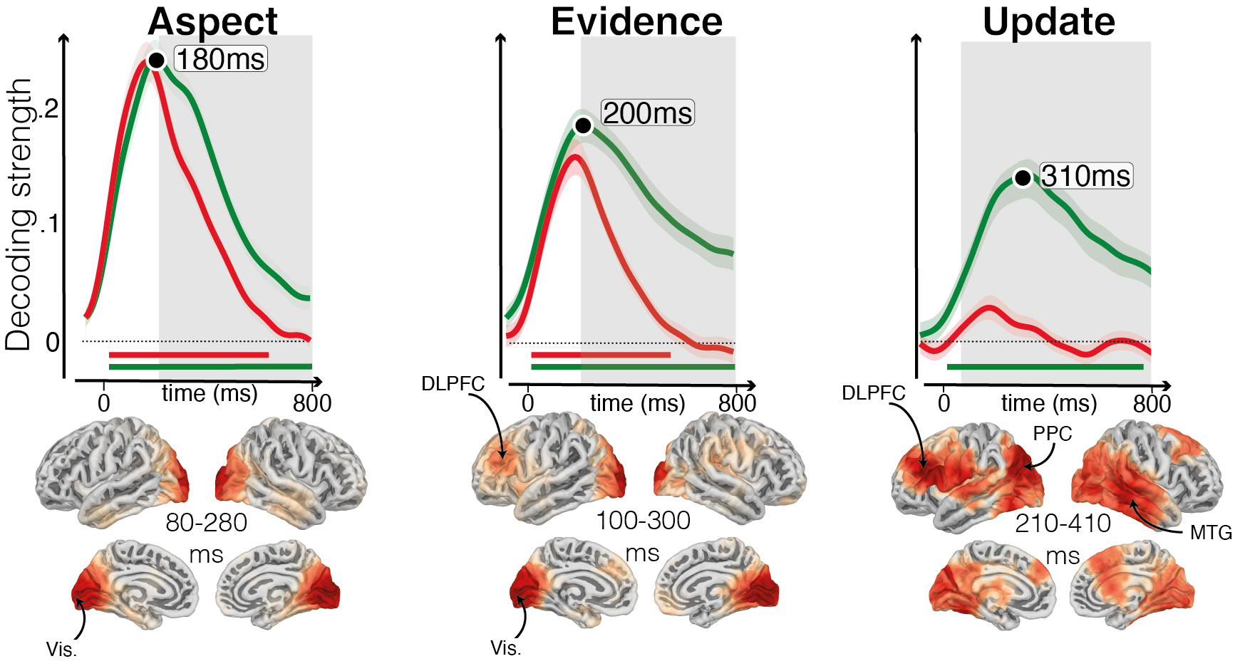 MEG decoding time courses for stimulus aspect, evidence and belief update, with their cortical source maps